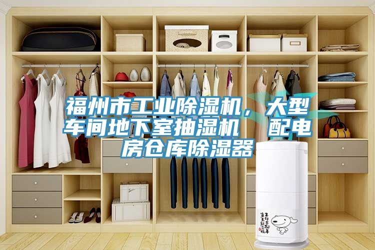 福州市工業91看片网站，大型車間地下室抽濕機  配電房倉庫除濕器