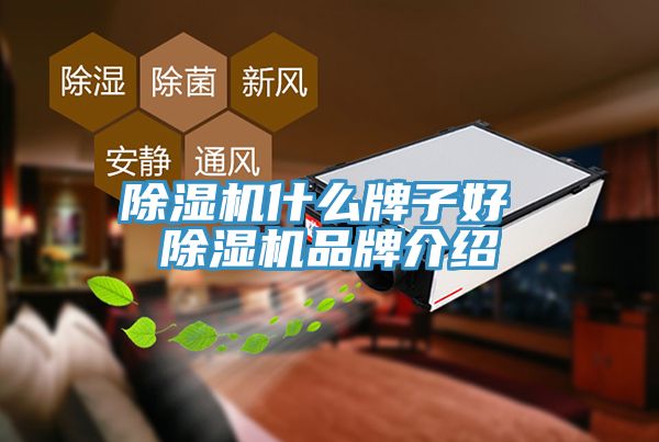 91看片网站什麽牌子好 91看片网站品牌介紹
