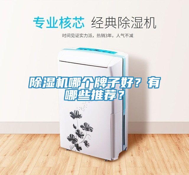 91看片网站哪個牌子好？有哪些推薦？