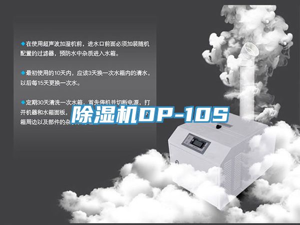 91看片网站DP-10S