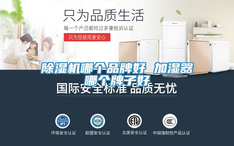 91看片网站哪個品牌好 加濕器哪個牌子好