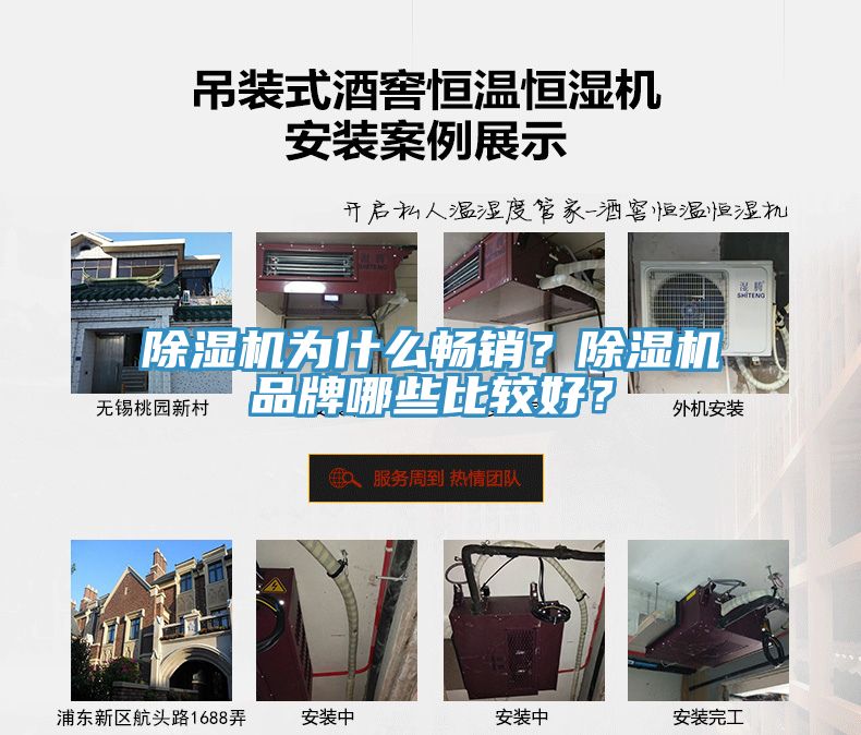 91看片网站為什麽暢銷？91看片网站品牌哪些比較好？