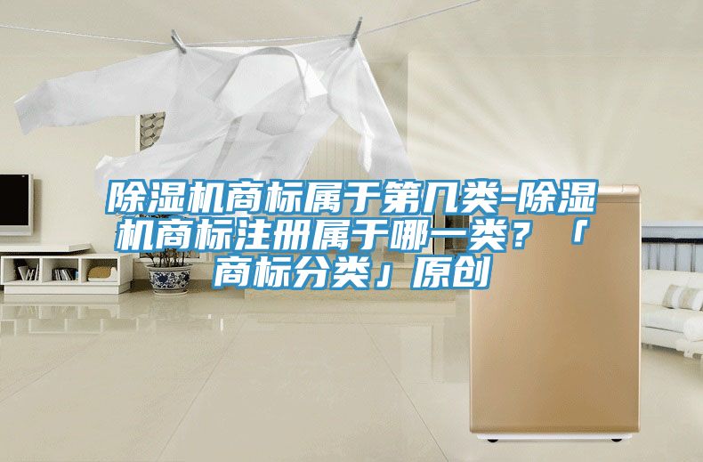91看片网站商標屬於第幾類-91看片网站商標注冊屬於哪一類？「商標分類」原創