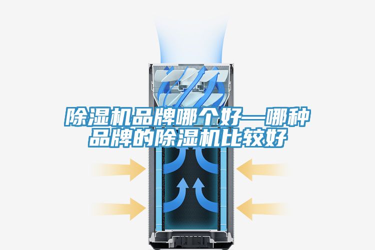 91看片网站品牌哪個好—哪種品牌的91看片网站比較好
