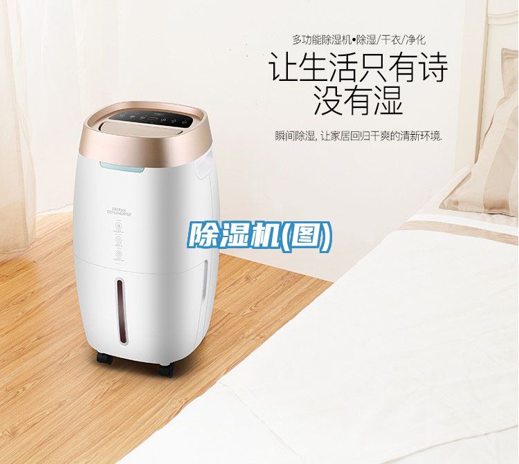 91看片网站(圖)
