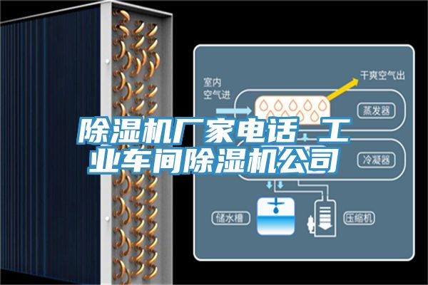 91看片网站廠家電話 工業車間91看片网站公司