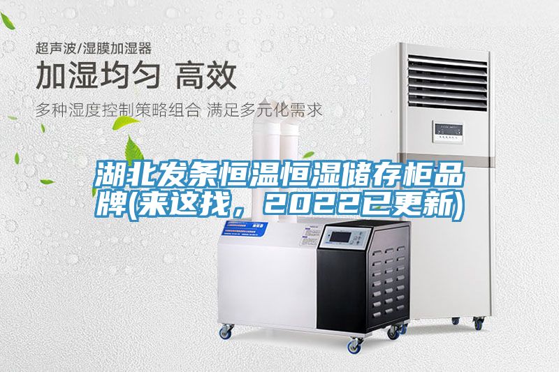 湖北發條恒溫恒濕儲存櫃品牌(來這找，2022已更新)
