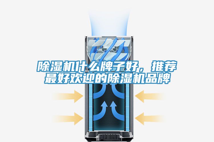 91看片网站什麽牌子好，推薦最好歡迎的91看片网站品牌