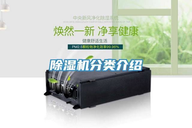 91看片网站分類介紹