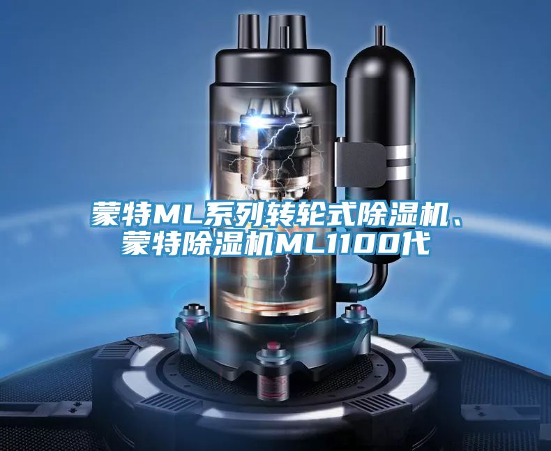 蒙特ML係列轉輪式91看片网站、蒙特91看片网站ML1100代