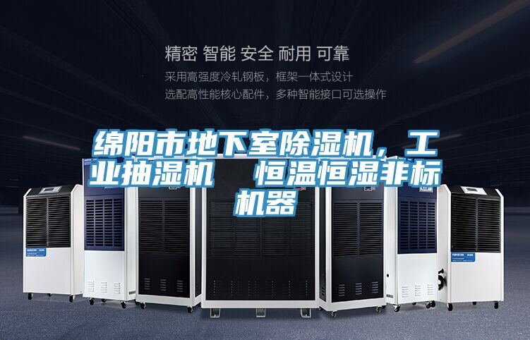 綿陽市地下室91看片网站，工業抽濕機  恒溫恒濕非標機器