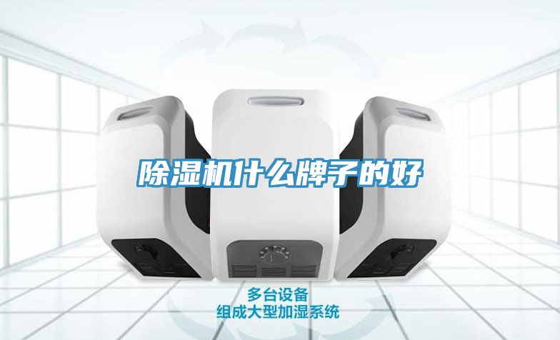 91看片网站什麽牌子的好