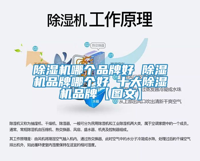 91看片网站哪個品牌好 91看片网站品牌哪個好 十大91看片网站品牌【圖文】