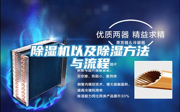 91看片网站以及除濕方法與流程