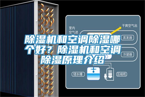 91看片网站和空調除濕哪個好？91看片网站和空調除濕原理介紹