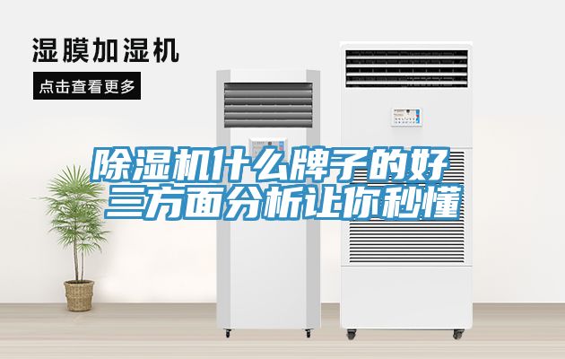 91看片网站什麽牌子的好 三方麵分析讓你秒懂