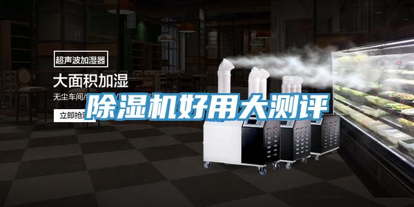 91看片网站好用大測評