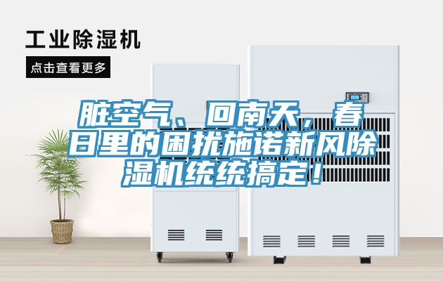 髒空氣、回南天，春日裏的困擾施諾新風91看片网站統統搞定！