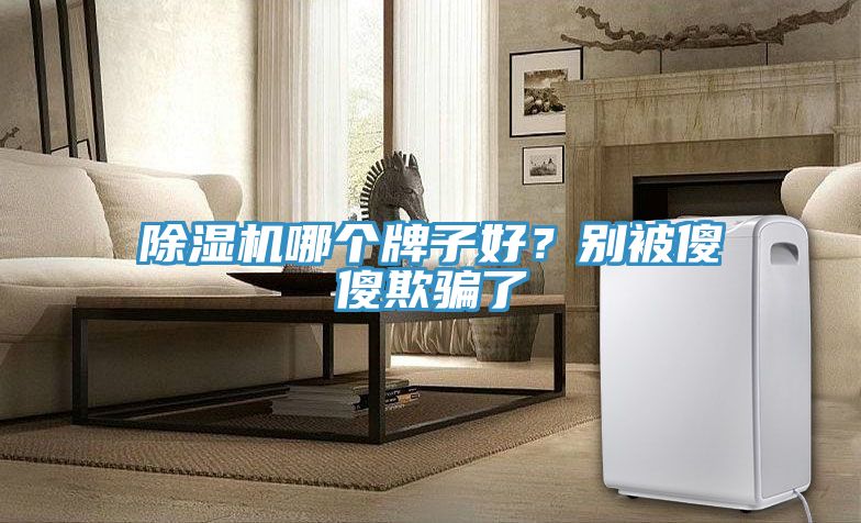91看片网站哪個牌子好？別被傻傻欺騙了