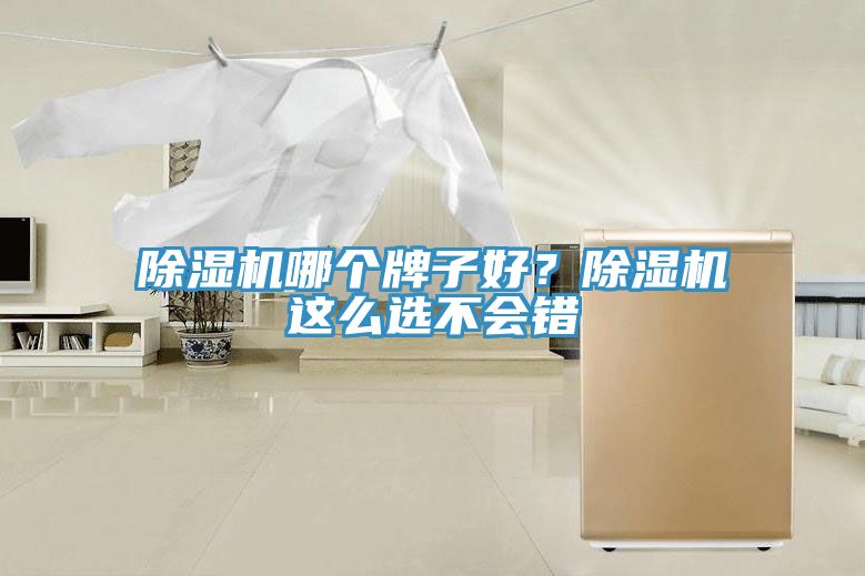 91看片网站哪個牌子好？91看片网站這麽選不會錯