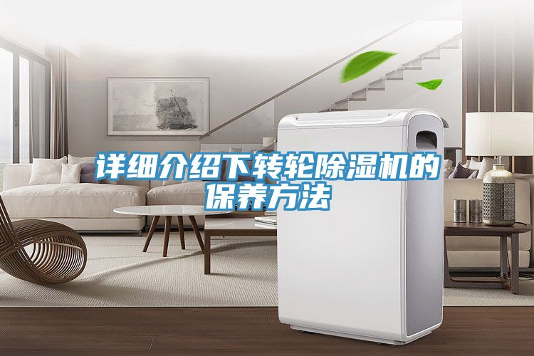 詳細介紹下轉輪91看片网站的保養方法