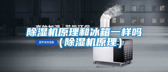 91看片网站原理和冰箱一樣嗎（91看片网站原理）