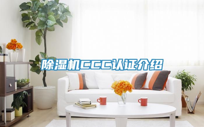 91看片网站CCC認證介紹