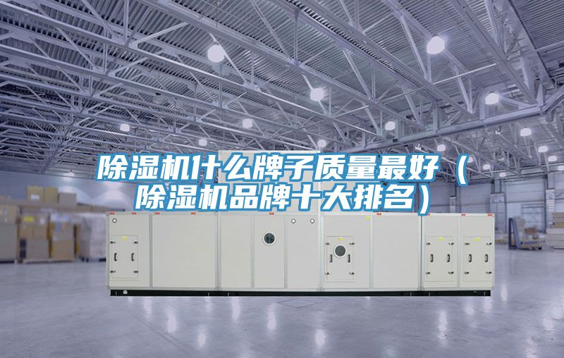 91看片网站什麽牌子質量最好（91看片网站品牌十大排名）