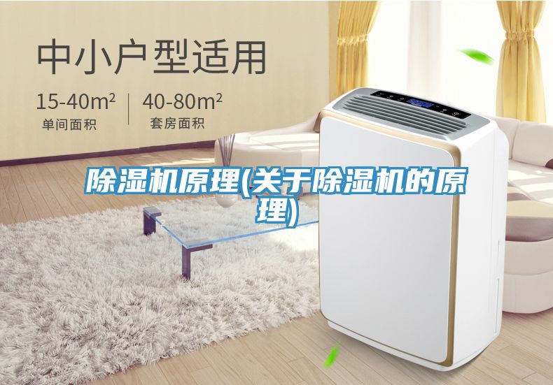 91看片网站原理(關於91看片网站的原理)