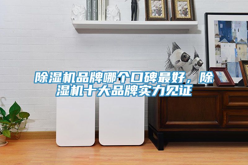 91看片网站品牌哪個口碑最好，91看片网站十大品牌實力見證
