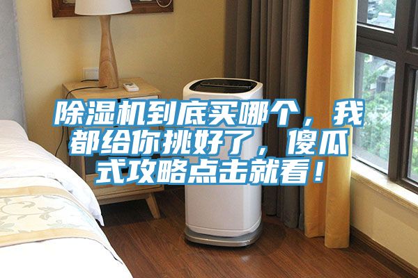 91看片网站到底買哪個，我都給你挑好了，傻瓜式攻略點擊就看！