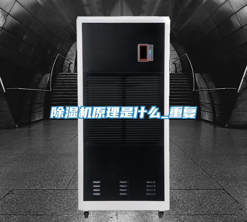 91看片网站原理是什麽_重複