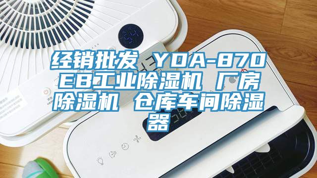 經銷批發 YDA-870EB工業91看片网站 廠房91看片网站 倉庫車間除濕器