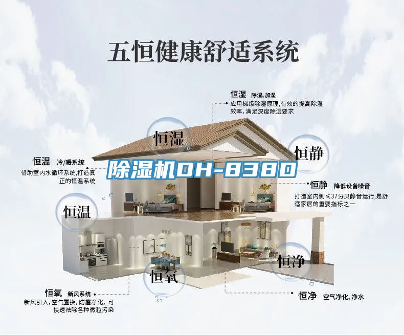 91看片网站DH-838D
