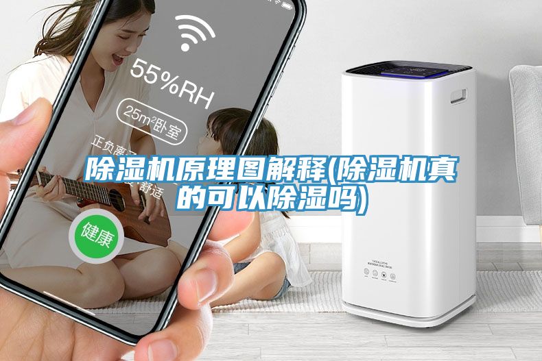 91看片网站原理圖解釋(91看片网站真的可以除濕嗎)