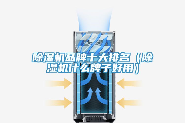 91看片网站品牌十大排名（91看片网站什麽牌子好用）