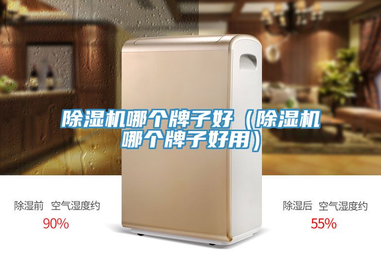 91看片网站哪個牌子好（91看片网站哪個牌子好用）