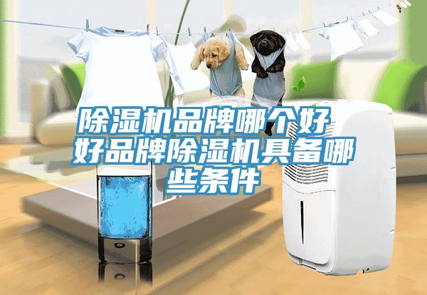 91看片网站品牌哪個好 好品牌91看片网站具備哪些條件