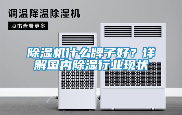 91看片网站什麽牌子好？詳解國內除濕行業現狀