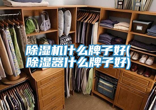91看片网站什麽牌子好(除濕器什麽牌子好)