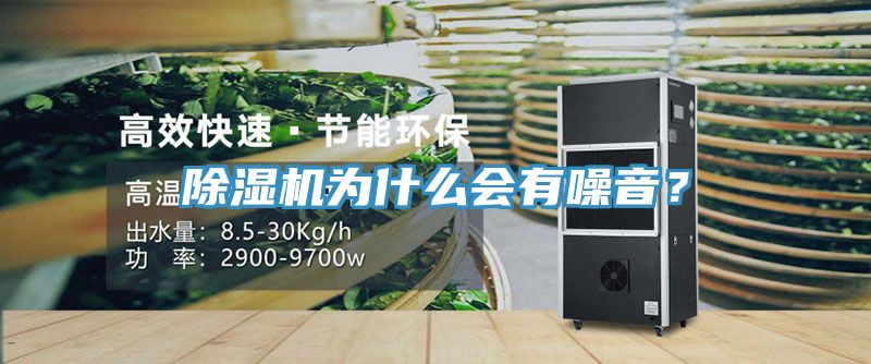91看片网站為什麽會有噪音？