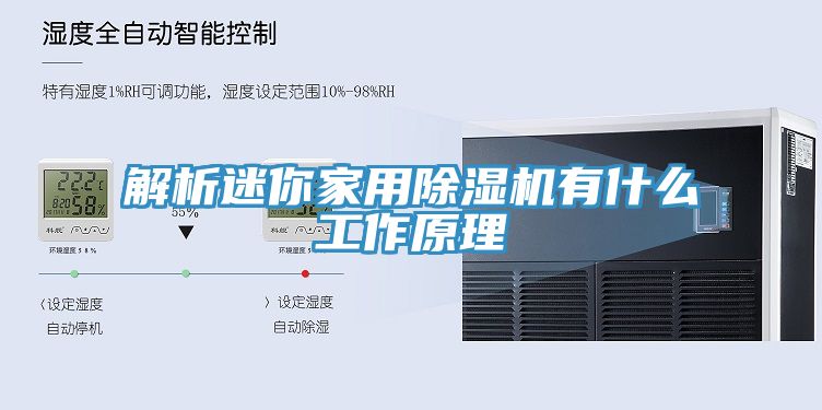 解析迷你家用91看片网站有什麽工作原理