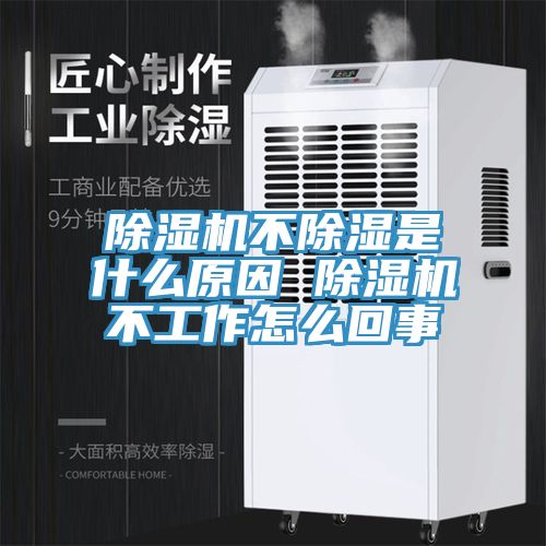 91看片网站不除濕是什麽原因 91看片网站不工作怎麽回事