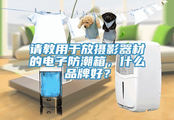 請教用於放攝影器材的電子防潮箱，什麽品牌好？