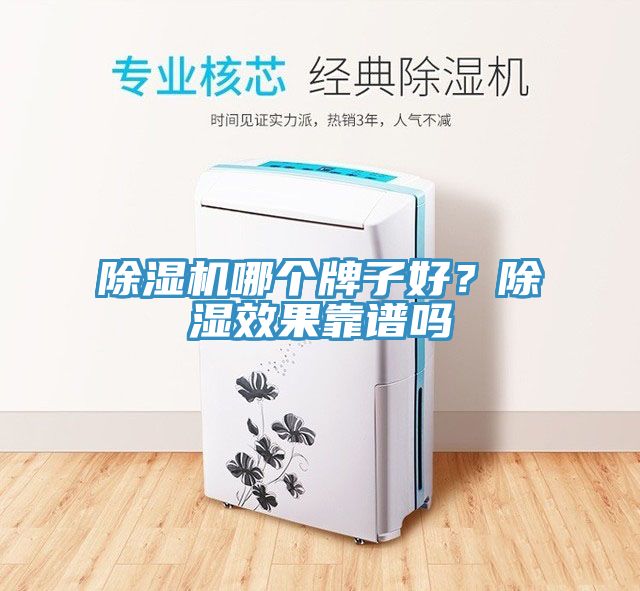 91看片网站哪個牌子好？除濕效果靠譜嗎