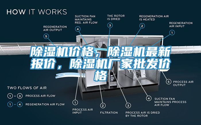 91看片网站價格，91看片网站最新報價，91看片网站廠家批發價格