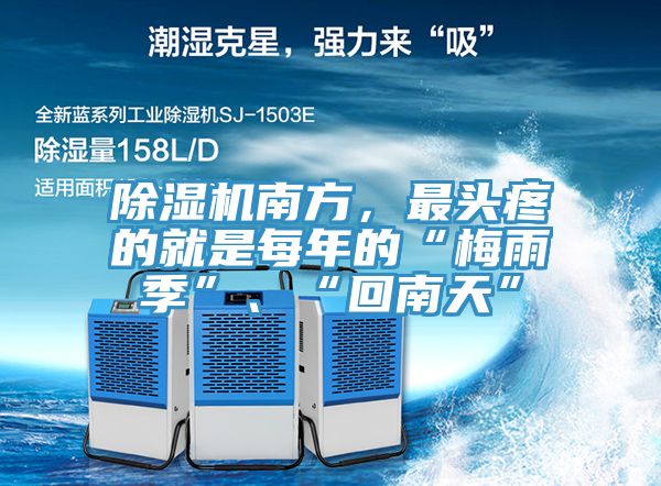 91看片网站南方，最頭疼的就是每年的“梅雨季”、“回南天”