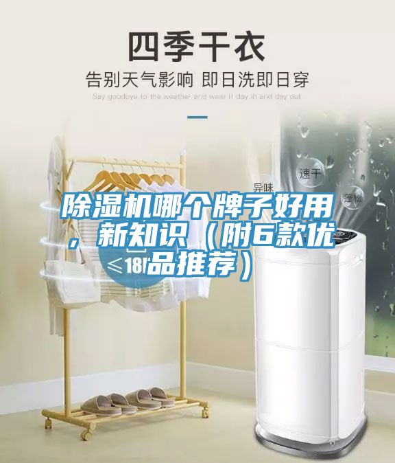 91看片网站哪個牌子好用，新知識（附6款優品推薦）
