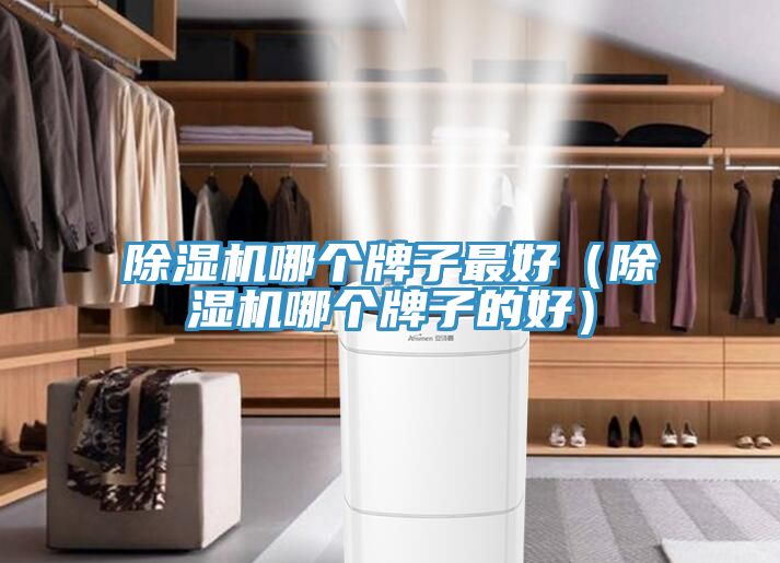 91看片网站哪個牌子最好（91看片网站哪個牌子的好）