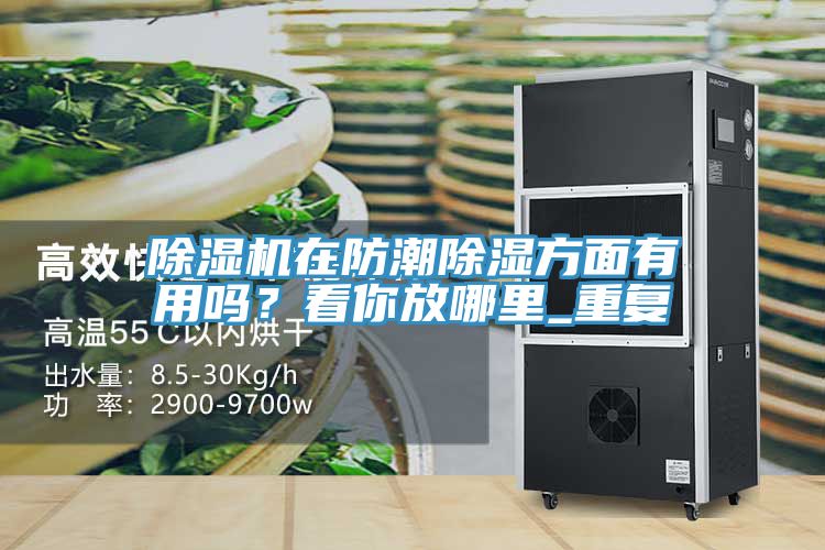 91看片网站在防潮除濕方麵有用嗎？看你放哪裏_重複
